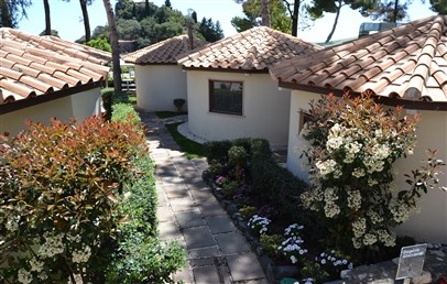 Bungalow Garden View