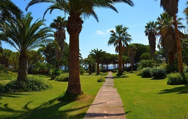 Costa dei Fiori Costa dei Fiori