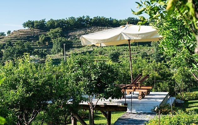 Monaci delle Terre Nere Monaci delle Terre Nere