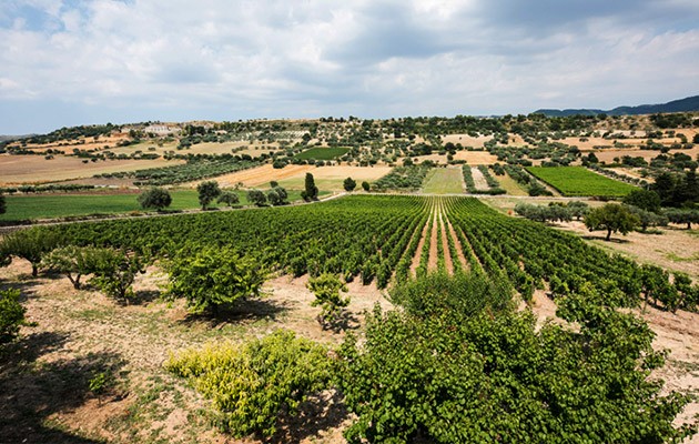Locanda Gulfi Locanda Gulfi